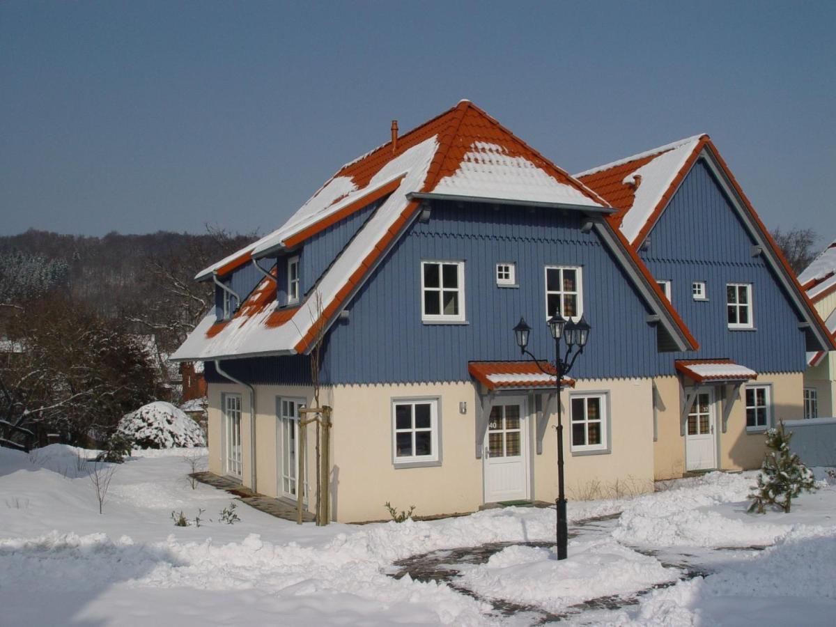 Holiday Home In Wernigerode With A Terrace المظهر الخارجي الصورة