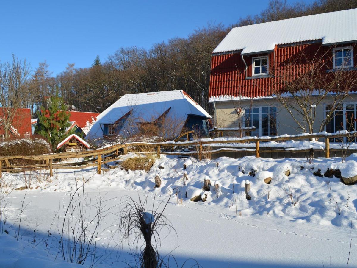 Holiday Home In Wernigerode With A Terrace المظهر الخارجي الصورة
