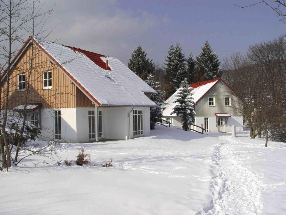 Holiday Home In Wernigerode With A Terrace المظهر الخارجي الصورة